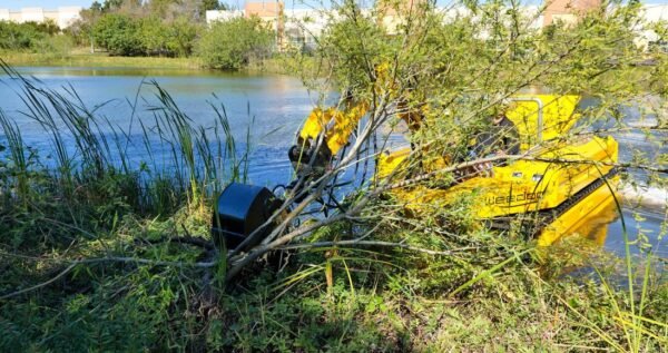 weedoo-tree-removal-scaled_orig